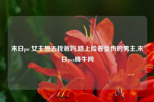 末日po 女主想去找爸妈,路上捡着受伤的男主,末日pvz腾牛网