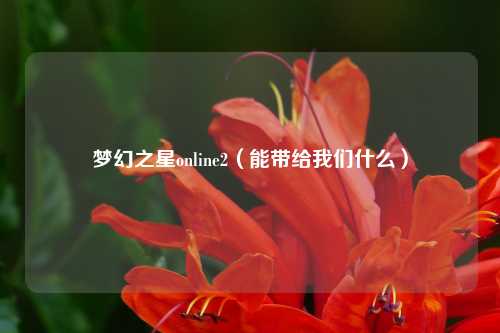 梦幻之星online2（能带给我们什么）