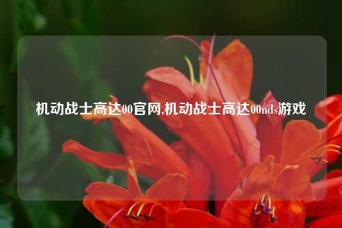机动战士高达00官网,机动战士高达00nds游戏