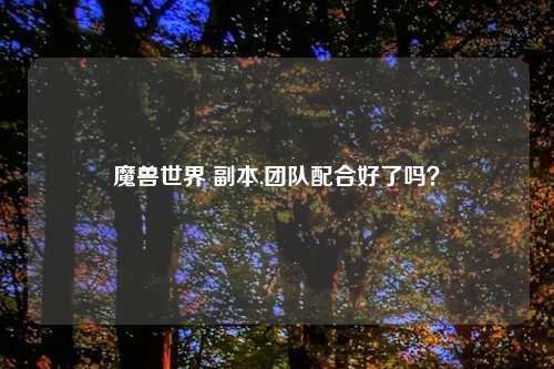 魔兽世界 副本,团队配合好了吗？