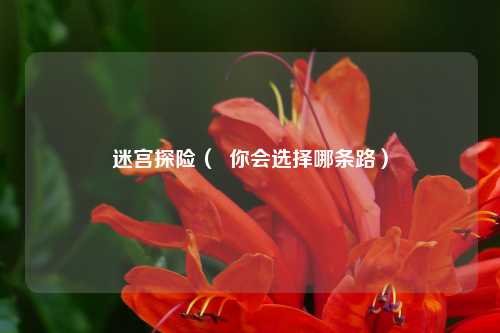 迷宫探险（  你会选择哪条路）