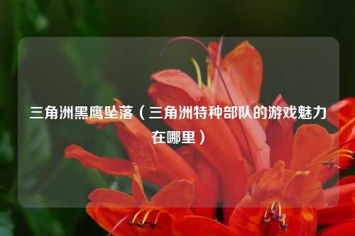 三角洲黑鹰坠落（三角洲特种部队的游戏魅力在哪里）