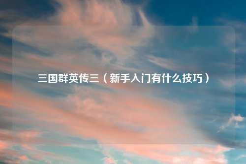 三国群英传三（新手入门有什么技巧）