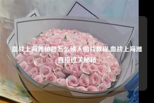 血战上海滩秘籍怎么输入图片教程,血战上海滩直接过关秘籍