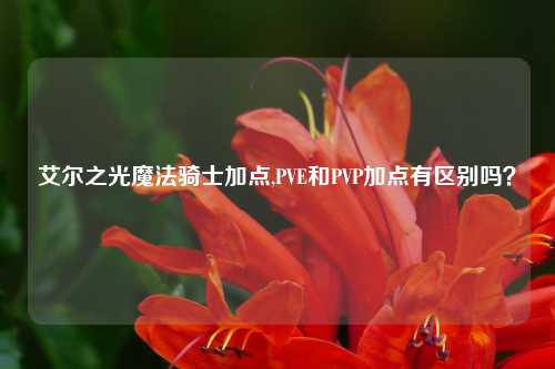 艾尔之光魔法骑士加点,PVE和PVP加点有区别吗？