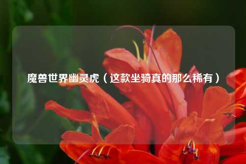 魔兽世界幽灵虎（这款坐骑真的那么稀有）