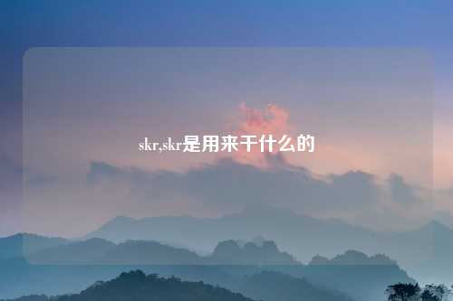 skr,skr是用来干什么的