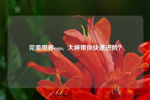 完美世界csgo,  大神带你快速进阶？