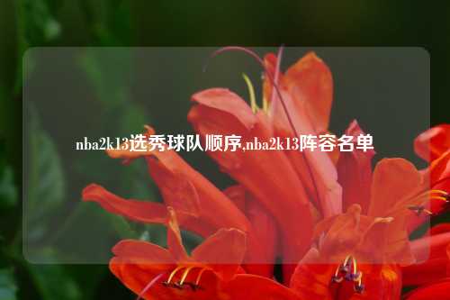 nba2k13选秀球队顺序,nba2k13阵容名单