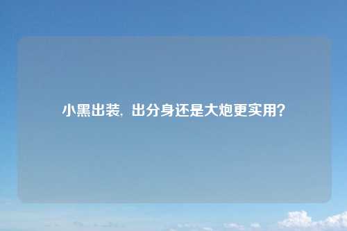 小黑出装,  出分身还是大炮更实用？