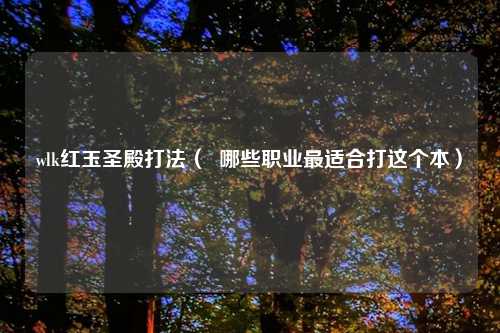 wlk红玉圣殿打法（  哪些职业最适合打这个本）