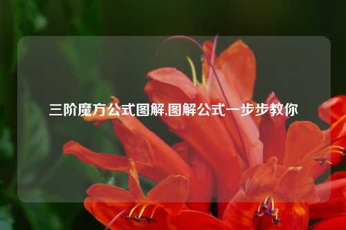 三阶魔方公式图解,图解公式一步步教你