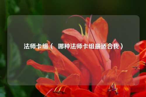 法师卡组（  哪种法师卡组最适合我）