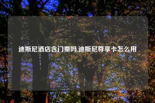 迪斯尼酒店含门票吗,迪斯尼尊享卡怎么用