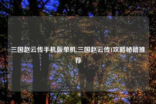 三国赵云传手机版单机,三国赵云传1攻略秘籍推荐