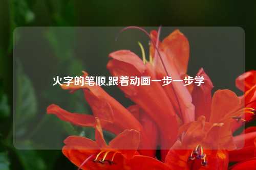 火字的笔顺,跟着动画一步一步学