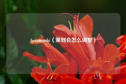heianwushi（策划会怎么调整）