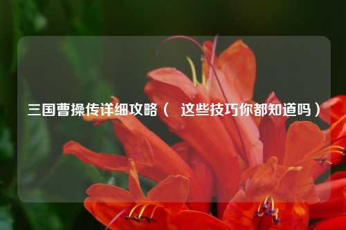 三国曹操传详细攻略（  这些技巧你都知道吗）