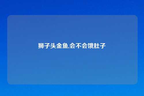 狮子头金鱼,会不会饿肚子