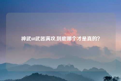 神武60武器满攻,到底哪个才是真的？