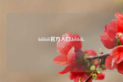 bilibili官方入口,bilibili.