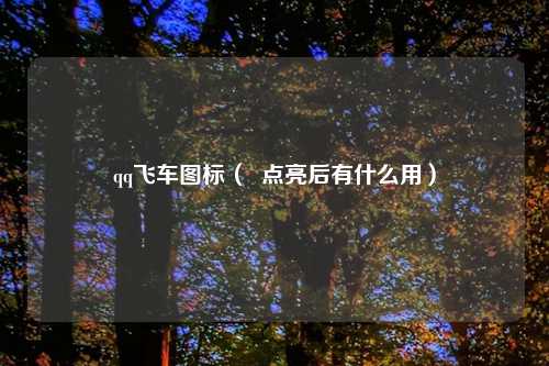 qq飞车图标（  点亮后有什么用）
