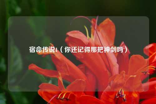 宿命传说1（你还记得那把神剑吗）