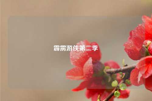 霹雳游侠第二季