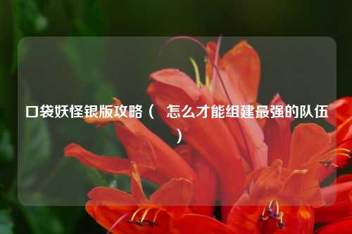 口袋妖怪银版攻略（  怎么才能组建最强的队伍）