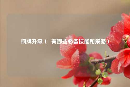 铜牌升级（  有哪些必备技能和策略）