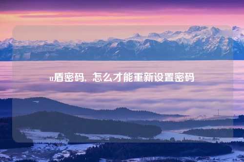 u盾密码,  怎么才能重新设置密码