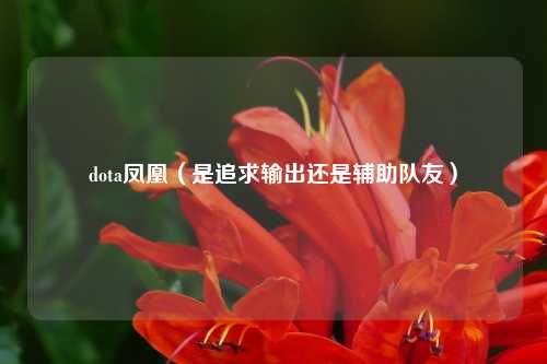 dota凤凰（是追求输出还是辅助队友）