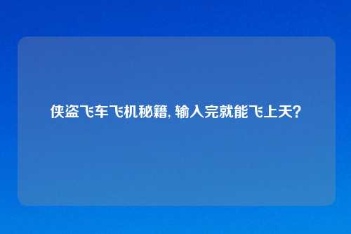 侠盗飞车飞机秘籍, 输入完就能飞上天？