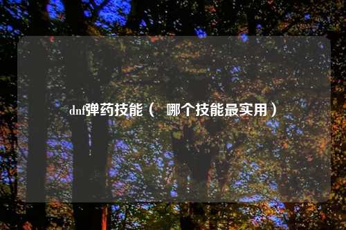 dnf弹药技能（  哪个技能最实用）