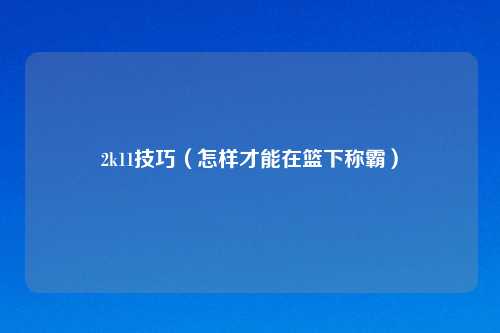 2k11技巧（怎样才能在篮下称霸）