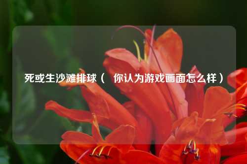 死或生沙滩排球（  你认为游戏画面怎么样）