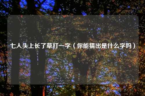 七人头上长了草打一字（你能猜出是什么字吗）