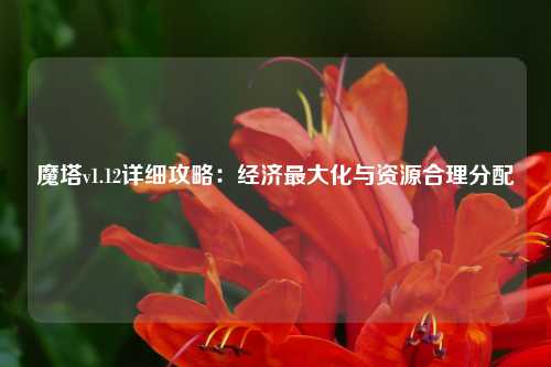 魔塔v1.12详细攻略：经济最大化与资源合理分配