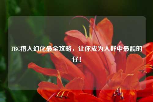 TBC猎人幻化最全攻略，让你成为人群中最靓的仔！