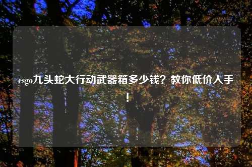 csgo九头蛇大行动武器箱多少钱？教你低价入手！