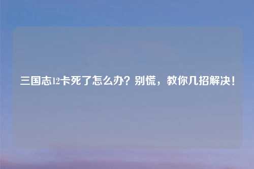 三国志12卡死了怎么办？别慌，教你几招解决！