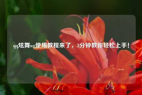 qq炫舞wg使用教程来了,3分钟教你轻松上手!