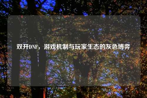 双开DNF，游戏机制与玩家生态的灰色博弈
