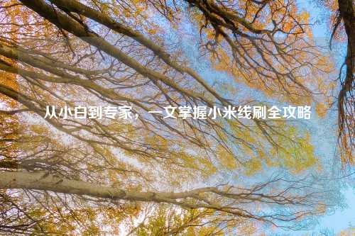 从小白到专家，一文掌握小米线刷全攻略