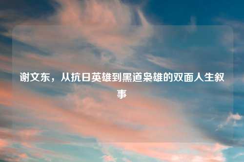 谢文东，从抗日英雄到黑道枭雄的双面人生叙事