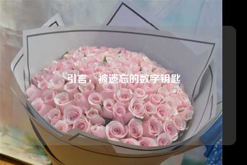 引言,被遗忘的数字钥匙