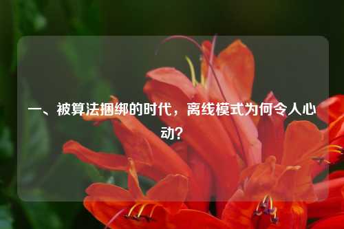 一、被算法捆绑的时代,离线模式为何令人心动?