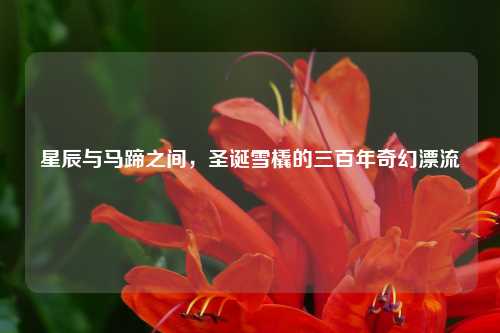 星辰与马蹄之间,圣诞雪橇的三百年奇幻漂流