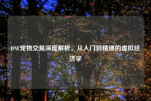 DNF宠物交易深度解析，从入门到精通的虚拟经济学
