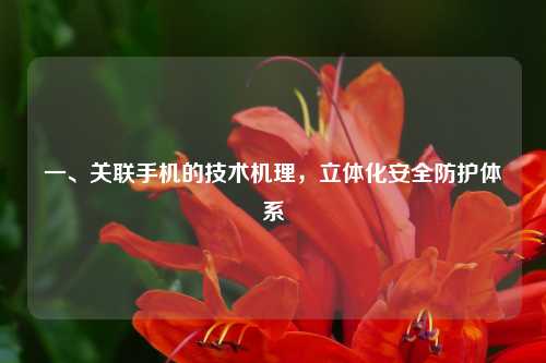 一、关联手机的技术机理,立体化安全防护体系